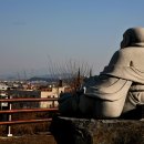 사바 이미지