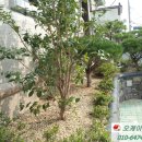 봉곡동243 이미지