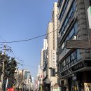 자미원한의원 | 양재역 미용실 조이쌤한테 애쉬브라운 받은 후기 서초동 미용실 프랑크프로보 양재점 (비포애프터 주의)