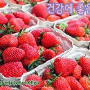 희망과일 네이버블로그