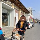 글램독경주C동 | [경주여행/경주숙소추천]내돈내산 찐 후기 글램독 애견펜션 경주점