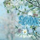 청원 행정사 이미지