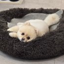 온담온열방 네이버블로그