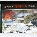 서도길 Daum카페