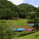 청태산목장 이미지