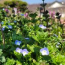 타로상담 이미지