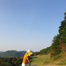 골드나인