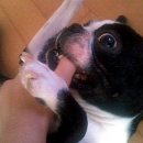 노무내농장 이미지