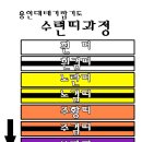 용인대 태기 합기도 이미지