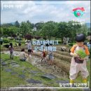 경기도 용인시농촌테마파크 놀이터 | 2년 연속 아이랑 용인 농촌테마파크 다랭이논 모내기 체험 &amp; 냅킨아트 밀짚모자 만들기