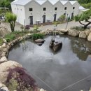 파인트리 스테이 이미지