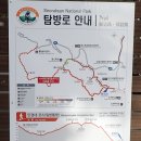 191010 --- 가을 즐기기(만경대. 가을꽃 전시회) 이미지