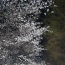 양재천 수변무대1 이미지