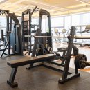 마스터 와이짐 이미지