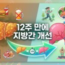2020-주132 | 지방간 개선 방법 - 12주 개선 프로젝트