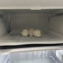 봄내에어하우스