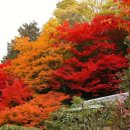 도안탑공인중개사사무소 이미지