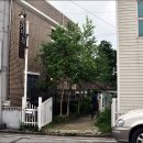 나무식당 이미지