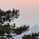 모토모토팬션