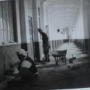 춘천고등학교 이미지