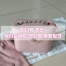 미니백 추천 카디널레드 앤디백 뮤트핑크