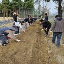 원예관리사 양성과정 이미지