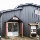 신흥동백나무군락 이미지