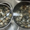 동춘마을 세탁 이미지