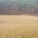 산림청 동부지방산림청 영월국유림관리소 이미지