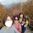 원적산 정상 이미지