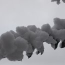 백남숙농장 이미지