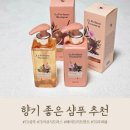 티에스HAIR | 풍성한 향기 오래가는 샴푸 TS 헤어트리트먼트 상큼해