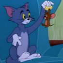 톰과제리 이미지