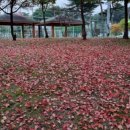 교동택지 서부공원 이미지