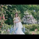 씨네독DVD영화까페 | 본식 DVD 예약: 코스모 스튜디오 cosmos studio 계약후기