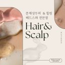 라인뷰티&헤드스파 네이버블로그