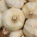 홍산농장 이미지