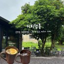 온전한 제주의향을 느낄 수 있는 제주시 카페 커피템플