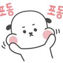 투유랑랑 이미지