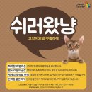 캣틀리에 이미지