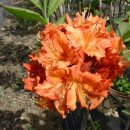 부리농장 이미지