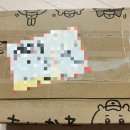 치이카와 마켓 직구 후기(취한 치이카와, 숙취 치이카와,재고품, 재입고품, 젓가락 받침대)+짐패스 후기