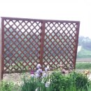 천평농장 이미지