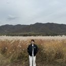 도라방스 이미지