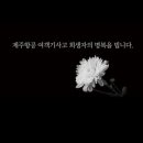 준타이어 이미지