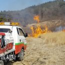 정우면사무소 이미지