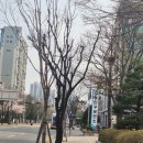 동안보건소 화장실 | [안양] 동안구 보건소 보건증 발급 후기 : 주차 꿀팁 및 소요 시간 정리