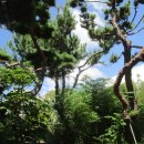 순천고등학교 이미지