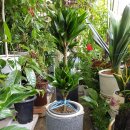 수원시 팔달구 팔달문로81번길 이미지