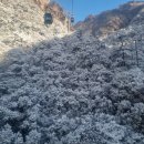 고도정류소(해남터미널 방향) | 중국 황산 날씨 지도 가는 법 남대문 환승센터 영객송 안후이성 자유여행 후기